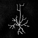 Neurona colgante